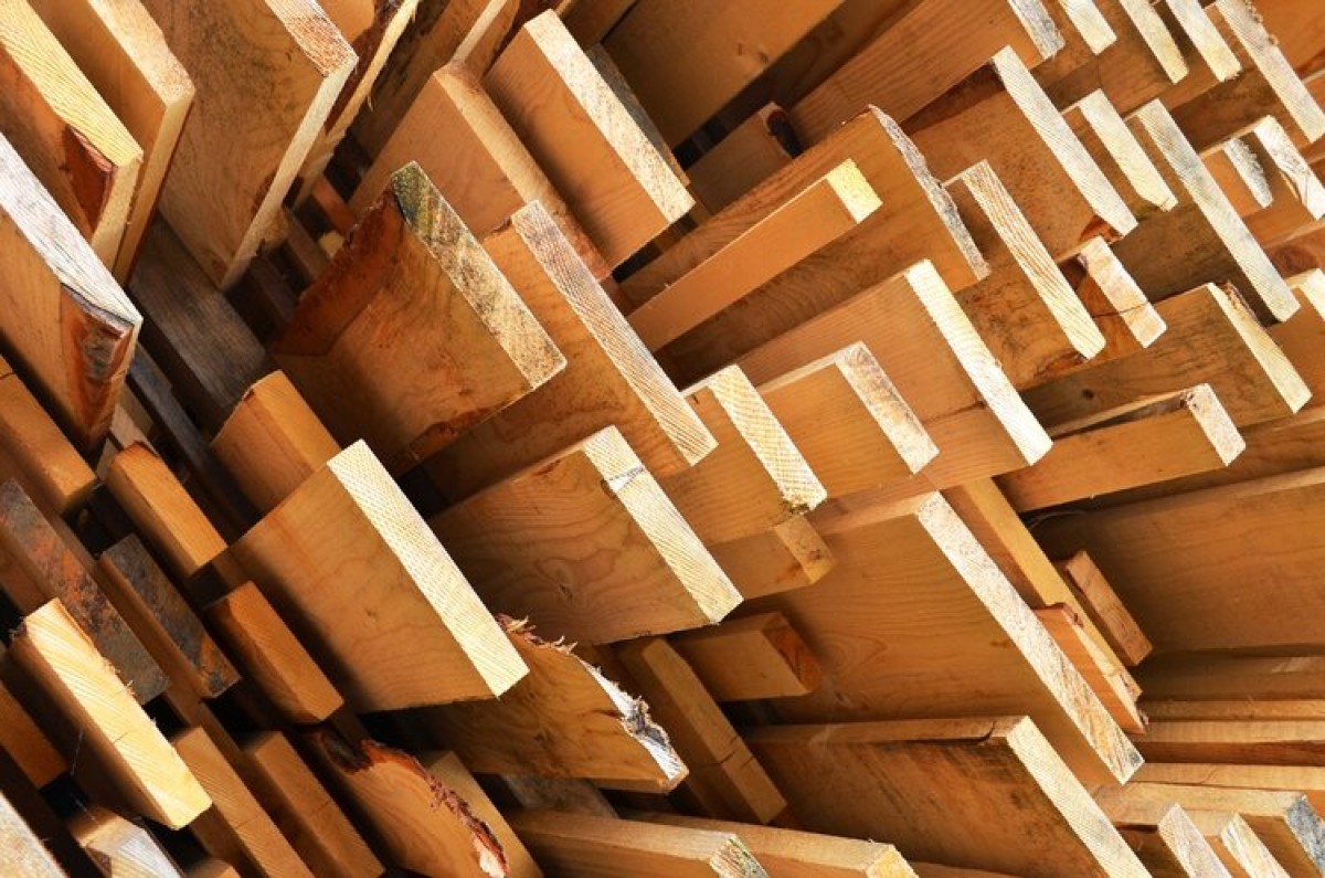 Ward Timber